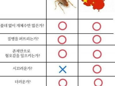 바퀴벌레와 중국인 비교