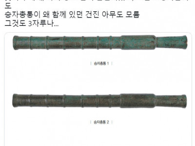조선시대 여인의 묘에서 발견되는 것