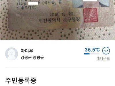 당근에서 민증도 파주네요.