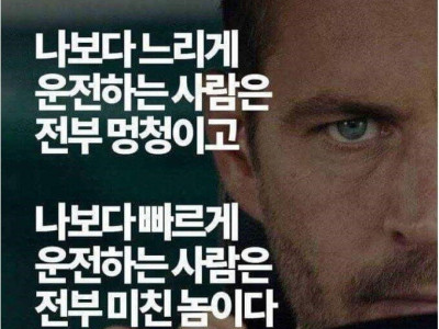 벗어날 수 없는 한국운전자들 특징