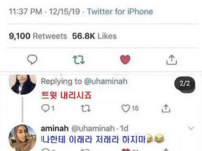 노빠꾸 트위터 누나