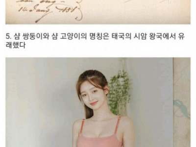 알아두면 쓸데없는 태국상식