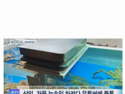 한 번 속여팔면 9만원 버는데, 정직하게 할 이유가.jpg