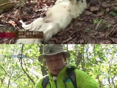 강아지만 보고 자연인 파악 가능한 이승윤.jpg