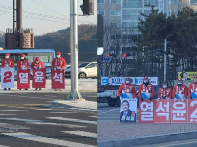 알바?  당원?