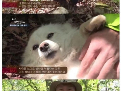 강아지만 보고 자연인 파악 가능한 이승윤