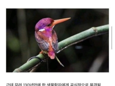 130년만에 다시나타난 멸종된 새