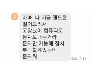 엄마, 폰 고장났어 문자 눌렀더니 예금 탈탈…24명 울린 범인의 최후