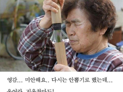 일본인도 모른다는 일본인 밈..jpg