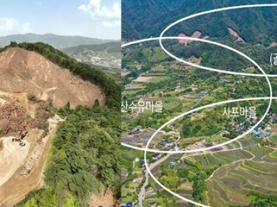 지리산 정상부에 골프장 추진… 축구장 29개 소나무 잘렸다