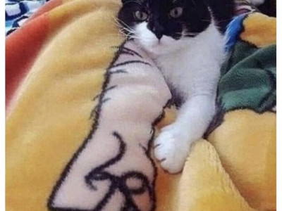 완벽한 타이밍에 건진 사진들