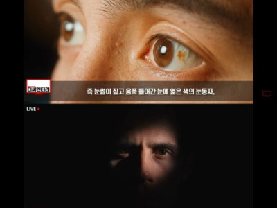 대한민국에 유독 서구적으로 사람들이 있는 이유