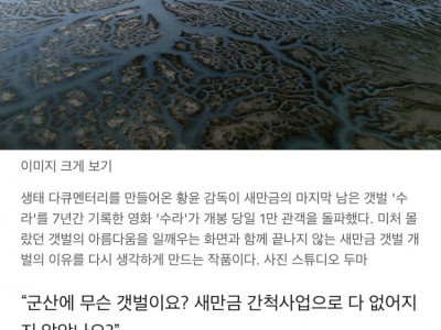 150마리 저어새 물고기 먹는 모습에 충격…갯벌 지킴이 됐다