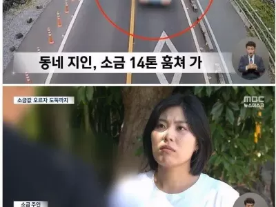 소금 14톤 훔쳐간 이웃