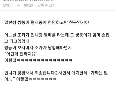 조카가 유치원생인데 친구중에 쌍둥이가 있대.jpg