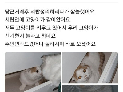 당근으로 중고 서랍장을 구매하면 딸려오는 것