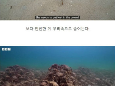 조금 굼뜨고 어색해도 그는 우리의 동료야