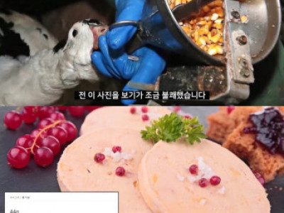 지방간이 만들어지는 과정.jpg