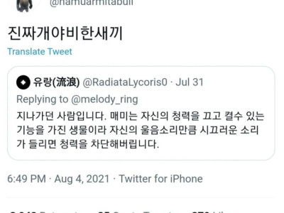 알고보니 진짜 개 야비한 ㅅㄲ