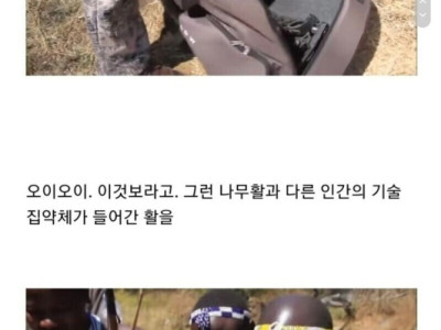 원시부족에게 현대 활을 전수해주자 생긴일