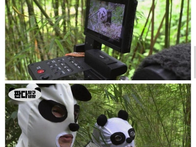 중국에 판다를 찍으러간 PD들.jpg