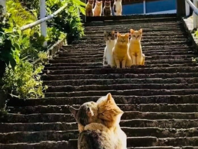 고백성공의순간