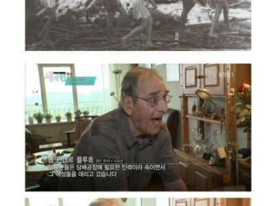 네덜란드의 화요집회