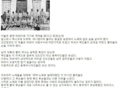 흑인 노예를 대체한 동양인 '쿨리'