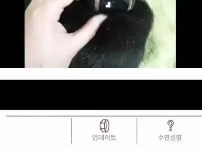 고양이에게 스마트워치 채운결과..JPG