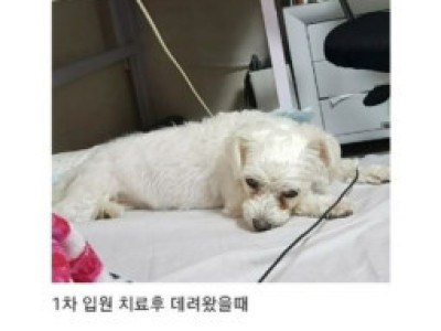고전] 부모님 텃밭에서 시작된 인연.jpg