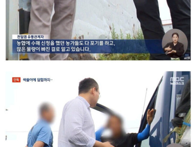 현재 소금값이 올라가는 이유