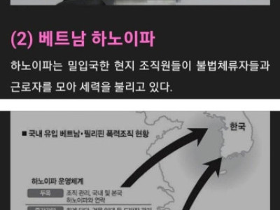 국내에서 활동하는 외국 조직폭력배들 ㄷ.JPG