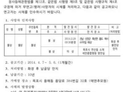 신안 무연고 사망자들