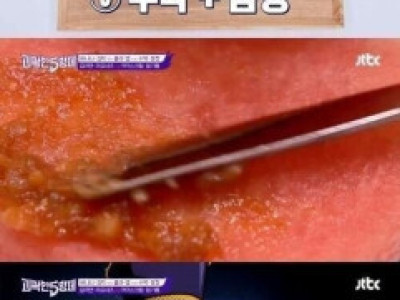 뜻밖에 맛있다던 음식 조합.jpg