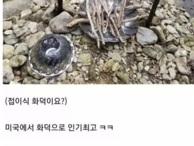 미국에서 오해받고 있는 한국 물건