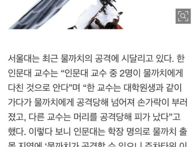 싱글벙글 대학원생 근황.news