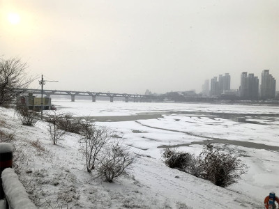 그립다 20230126