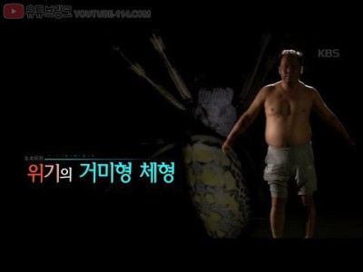 가장 위험하다는 체형.jpg