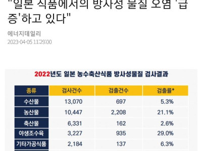 일본 여행 가는게 ㄷㅅ인 이유