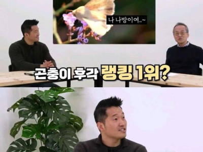 개는 상대도 안되는 엄청난 후각을 가진 생명체.jpg