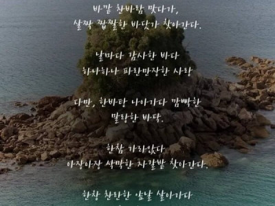 웃대] 단 하나의 모음만을 사용해서 쓴 시.jpg