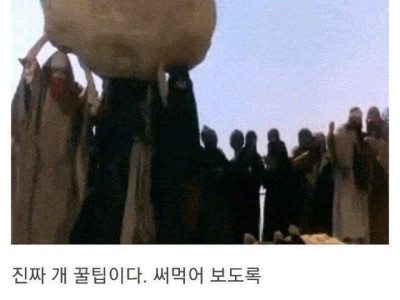 여친이 동거 경험자인지 알아내는 방법.jpg