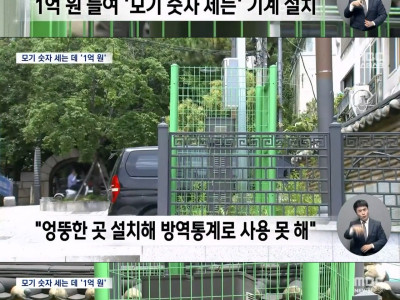특이점이 온 모기 숫자 세기