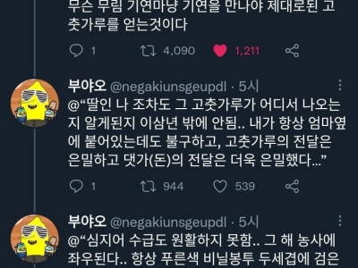 한국에서 제대로된 고춧가루 구하는 법