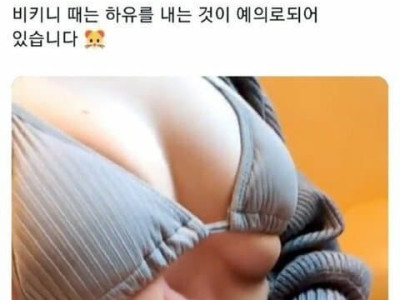 ㅇㅎ) 일본의 비키니 착용 예의