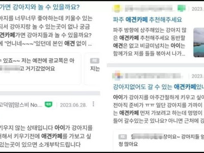 강아지도 안 키우면서 '애견카페'에 아이들 데려와 동물 체험 시키지 마세요