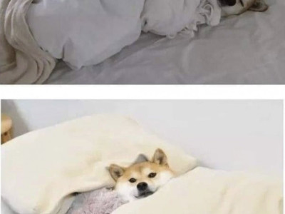 몇몇이 잘때 가지고 있다는 버릇