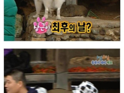 지금은 상상도 못할 1박2일 전성기 시절 드립 ㅋㅋ