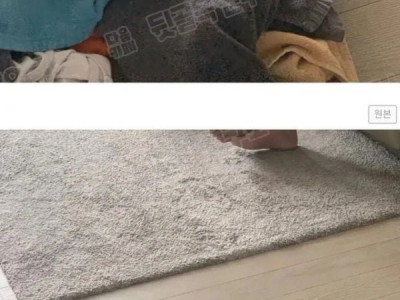 강아지가 빨래건조기를 좋아하는 이유.jpg