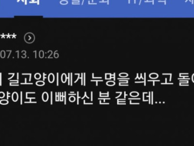 길고양이 만졌다가 살인진드기에 물려 죽은 기사에 달린 댓글